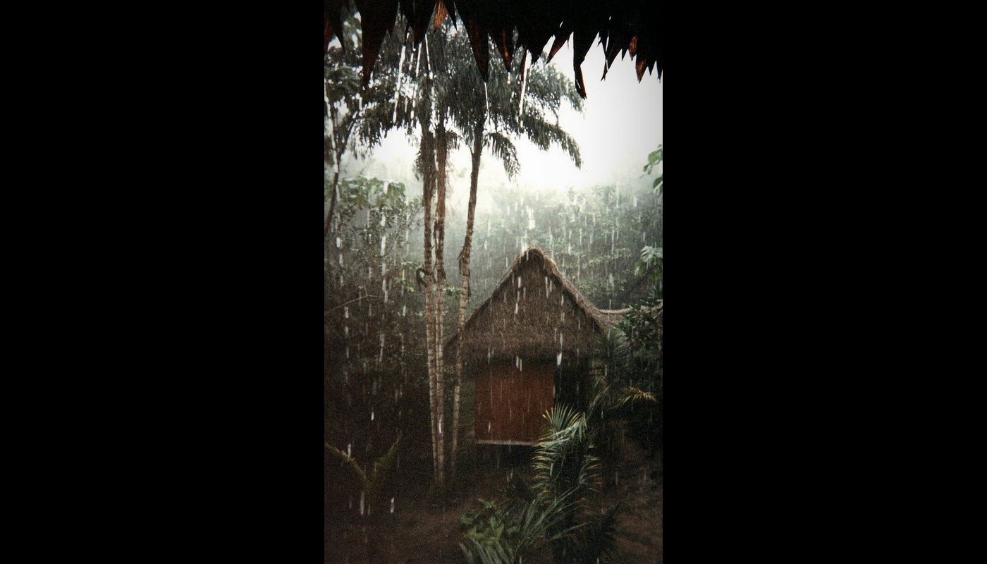 photo from Amazon Rainforest